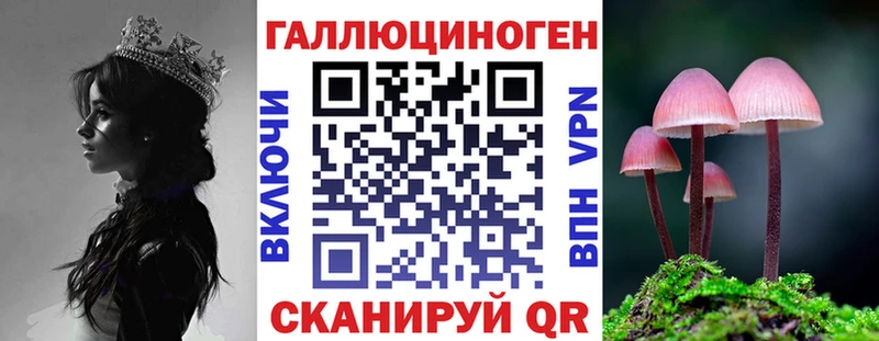это Telegram  Кондрово  Галлюциногенные грибы Psilocybe 